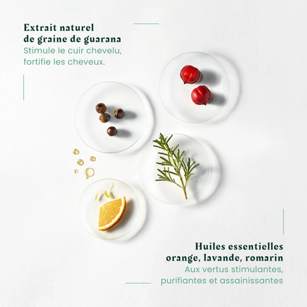 Rene Furterer - Forticea - Rituel Fortifiant - Shampooing 600ml