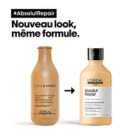 Absolut Repair