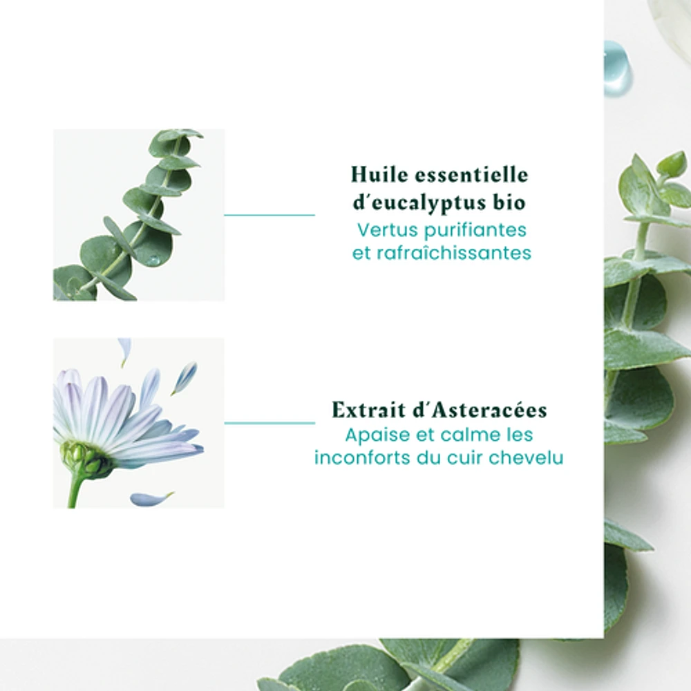 Rene Furterer - Astera Fresh - Concentré Apaisant Fraîcheur