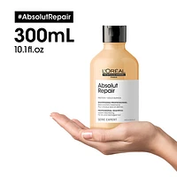 Absolut Repair