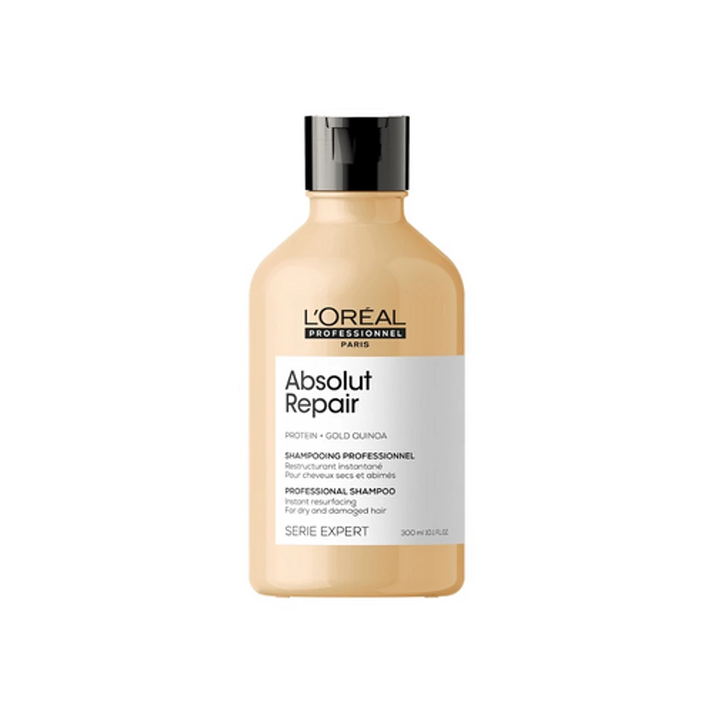 Absolut Repair