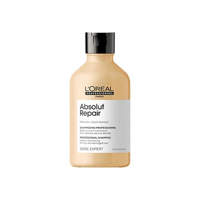 Absolut Repair