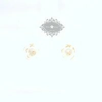 10k Yellow Gold Cubic Zirconia Flower Studs Earrings 153787
