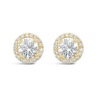Gold Plated Sterling Silver Cubic Zirconia Round Studs 143467