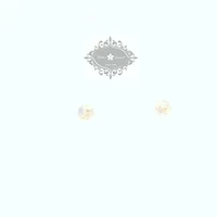 10k Yellow Gold Cubic Zirconia Butterfly Studs Earrings