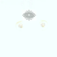 10k Yellow Gold Cubic Zirconia Studs Earrings