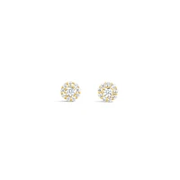 10k Yellow Gold Cubic Zirconia Studs Earrings
