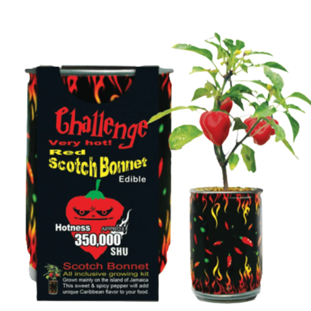 Challenge Grow Your Own Scotch Bonnet