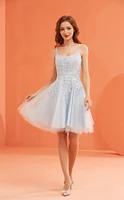 Sparkle Tulle Lace Short Dress