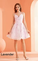 Floral Print Corset Tie Back Dress
