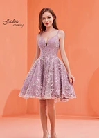 Embroidered Tulle A-line Short Dress