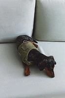 DOG WALKING HARNESS