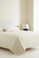 MICROFIBER QUILT