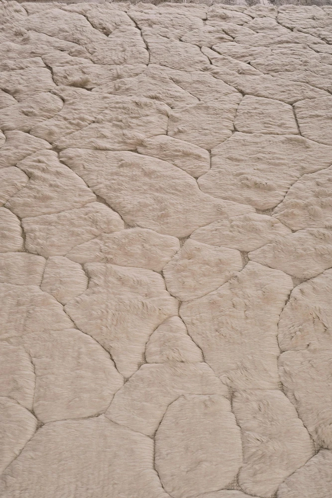 RUG 04