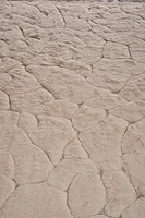 RUG 04