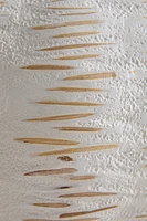 CORBEILLE VASE MICROCEMENT