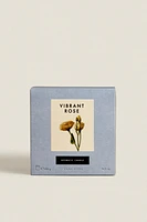 (400 G) VIBRANT ROSE SCENTED CANDLE