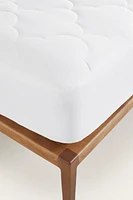 PADDED MATTRESS PROTECTOR
