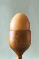 COQUETIER BOIS