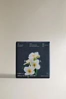 350 G) AQUA BERGAMOT SCENTED CANDLE