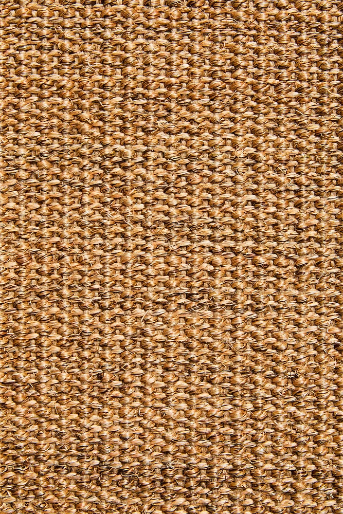 CAT SCRATCHER RUG