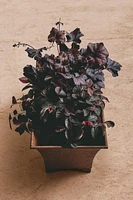 JARDINIÈRES FER