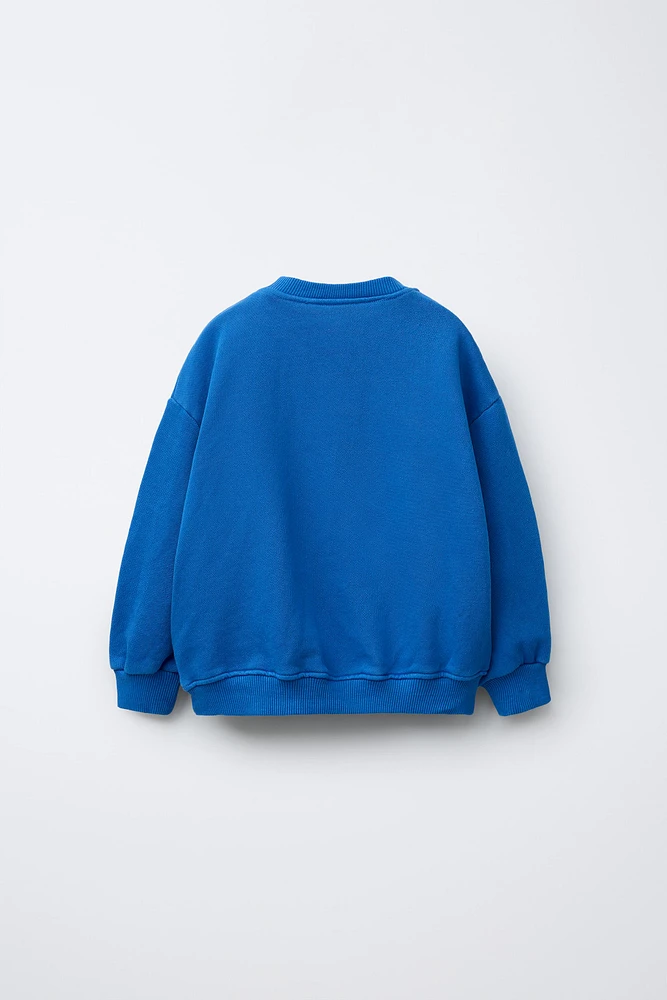 BONILLA A LA VISTA ® X ZARA PRINTED SWEATSHIRT