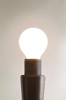2700 K LID LED LIGHT BULB