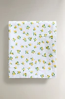 NAPPE COTON ENDUIT CITRONS