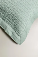 CHILDREN’S CHECK THROW PILLOW COVER