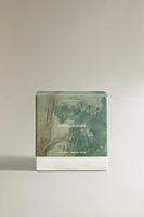 G) MIMOSA SUBLIME SCENTED CANDLE
