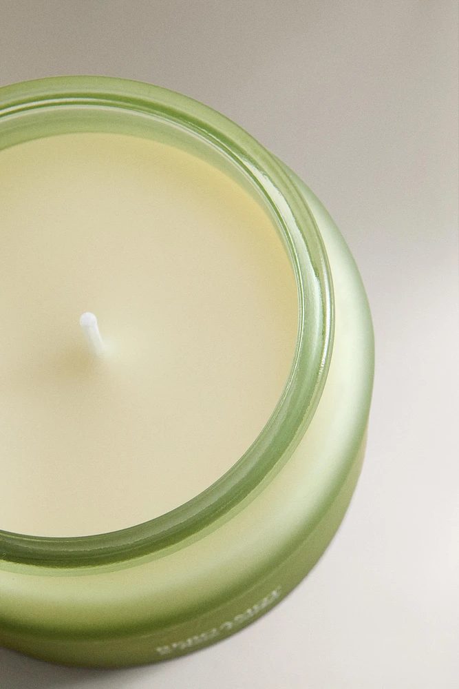 (240 G) BERGAMOT & ROSE, LEATHER SCENTED CANDLE