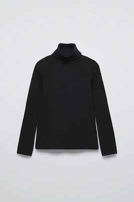 RIB TURTLENECK SWEATER