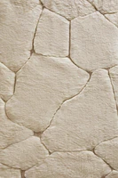 RUG 04