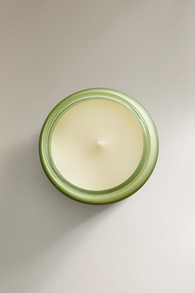 (240 G) BERGAMOT & ROSE, LEATHER SCENTED CANDLE
