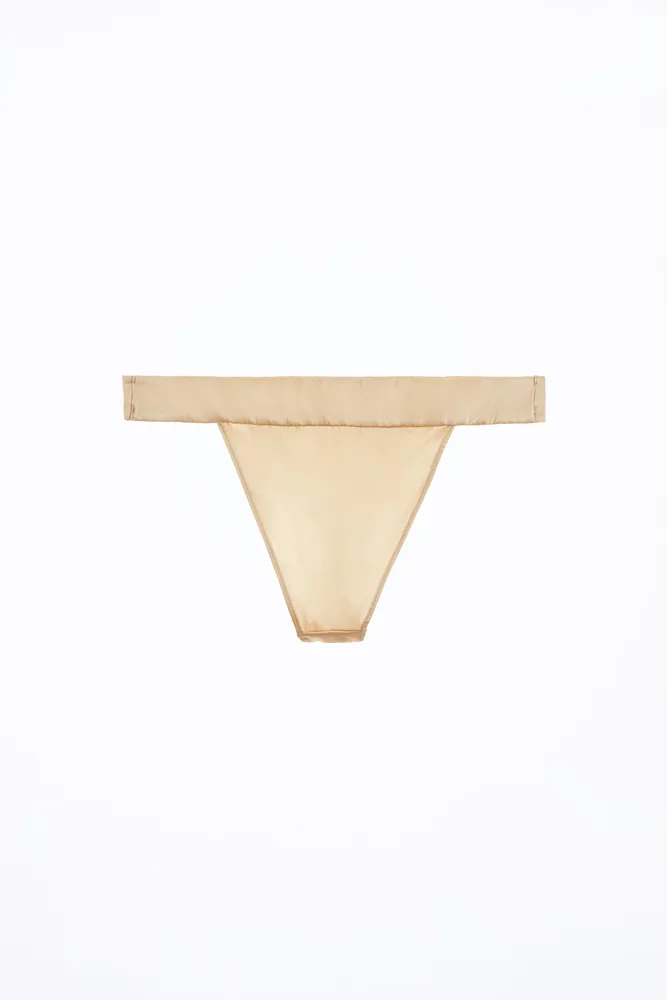 Zara + Silk Panties