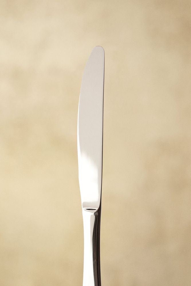 Classic Table Knife