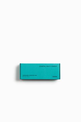 BLOC PARFUMÉ POUR ARMOIRES COASTAL SALTY FOREST