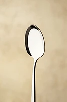 SPOON WITH EXTRA THIN HANDLE