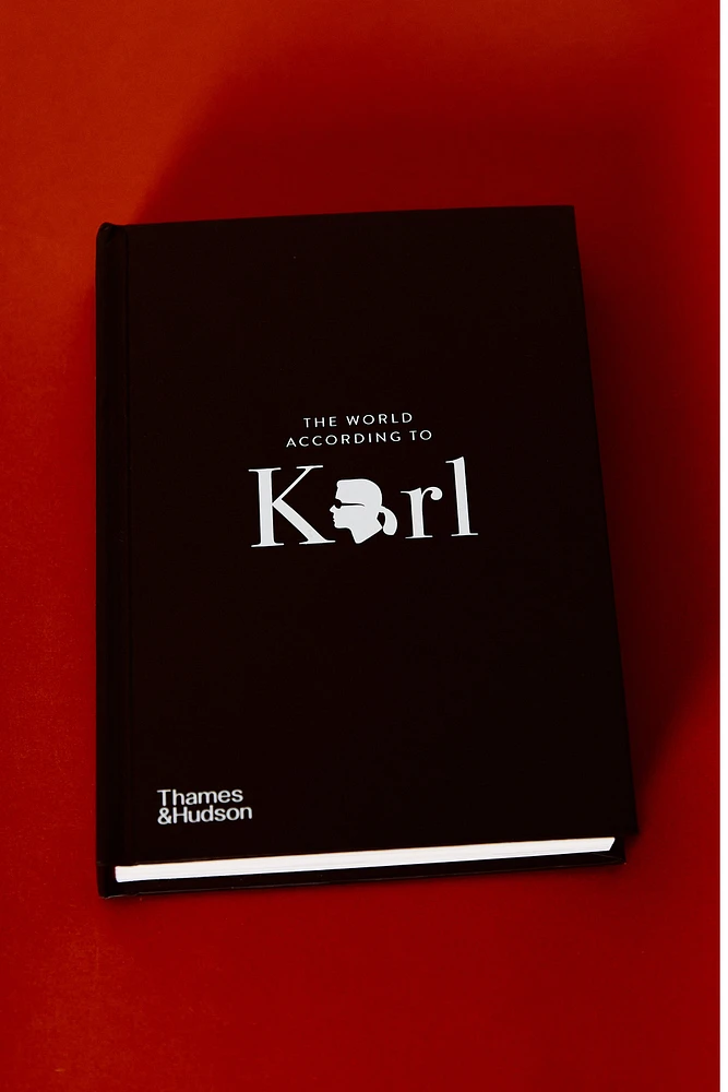 LIVRE THE WORLD ACCORDING TO KARL