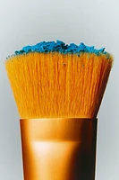 BRUSHES