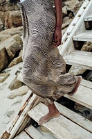 ANIMAL PRINT MIDI SKIRT