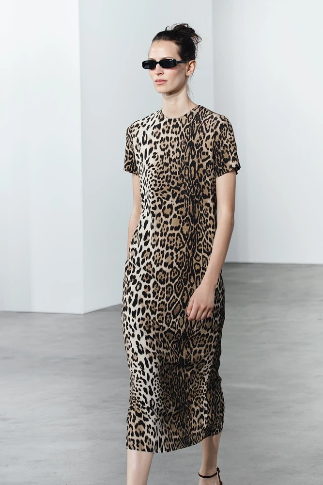 ANIMAL PRINT DRESS ZW COLLECTION