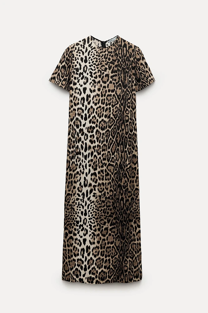 ANIMAL PRINT DRESS ZW COLLECTION