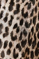 ZW COLLECTION ANIMAL PRINT SHORTS