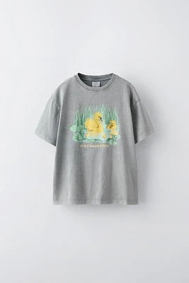 WASHED EFFECT DUCK T-SHIRT