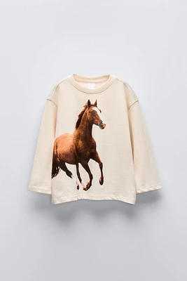 HORSE PHOTOGRAPH T-SHIRT