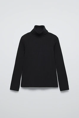 RIB TURTLENECK SWEATER