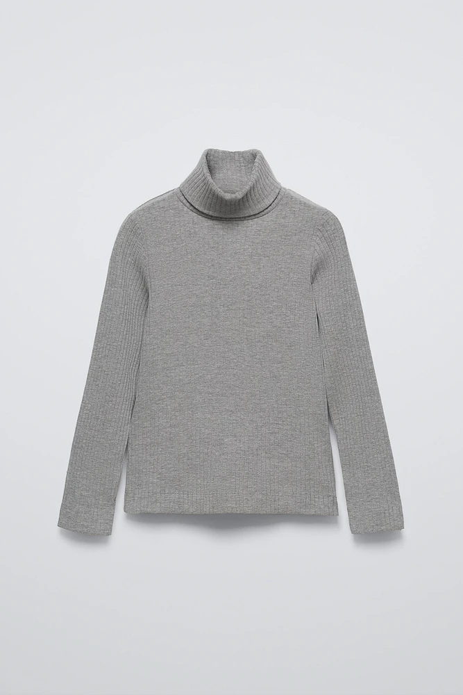 RIB TURTLENECK SWEATER