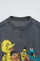 SESAME STREET © WASHED EFFECT SWEATSHIRT